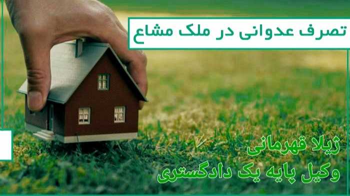 تصرف عدوانی شریک در مال مشاع