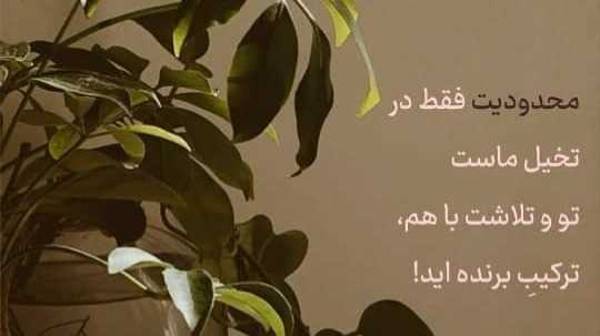 جنسیت و قانون (مجازات زن و مرد در جرايم مشابه ) 